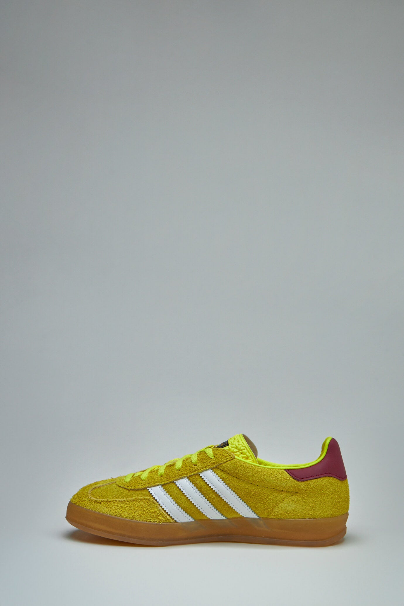 Gazelle Indoor