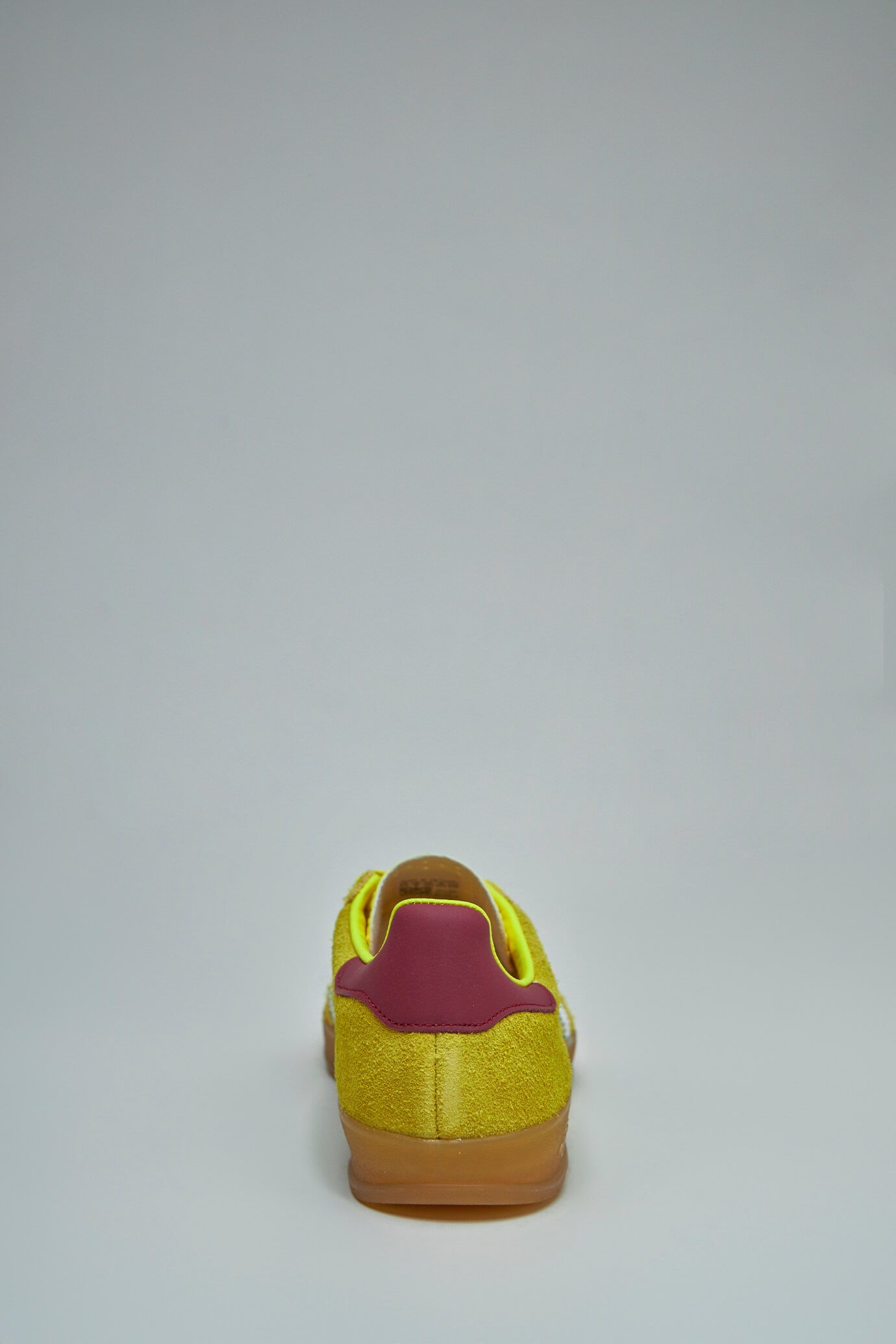 Gazelle Indoor
