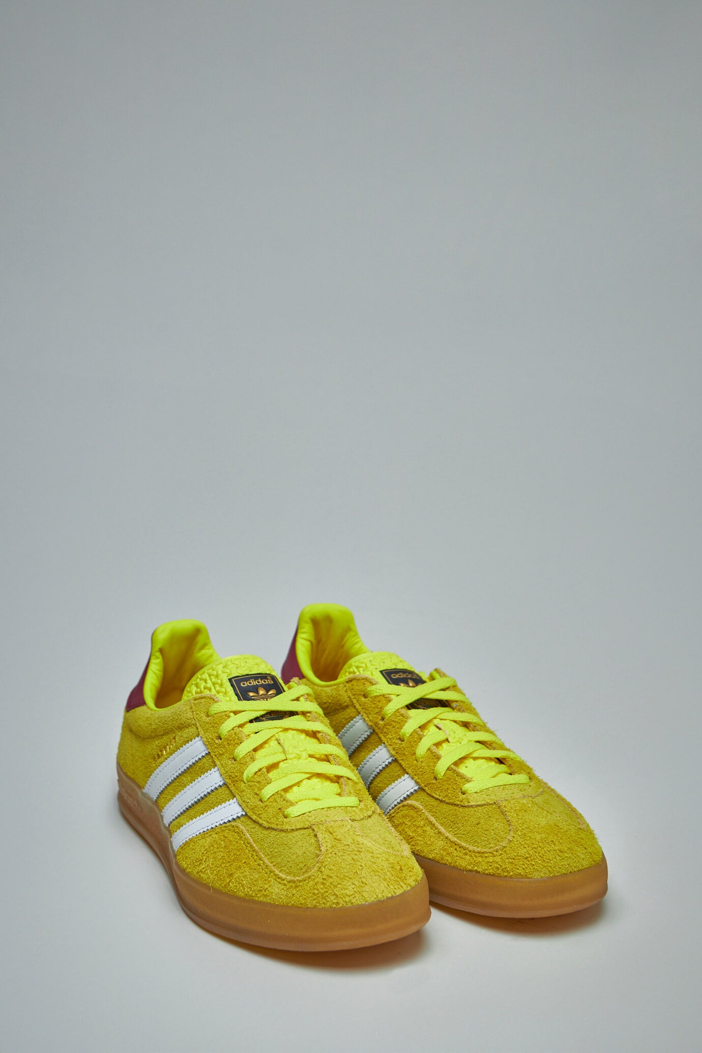 Gazelle Indoor