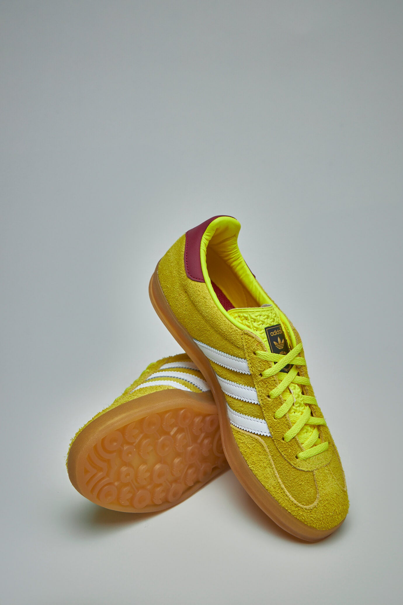 Gazelle Indoor