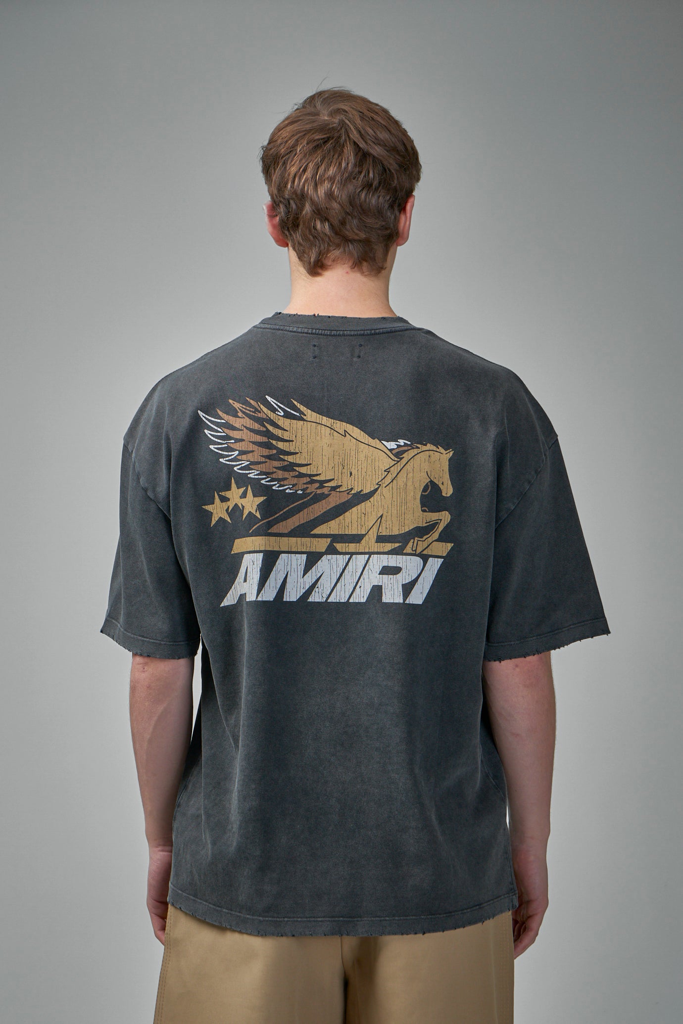Vintage Pegasus Tee
