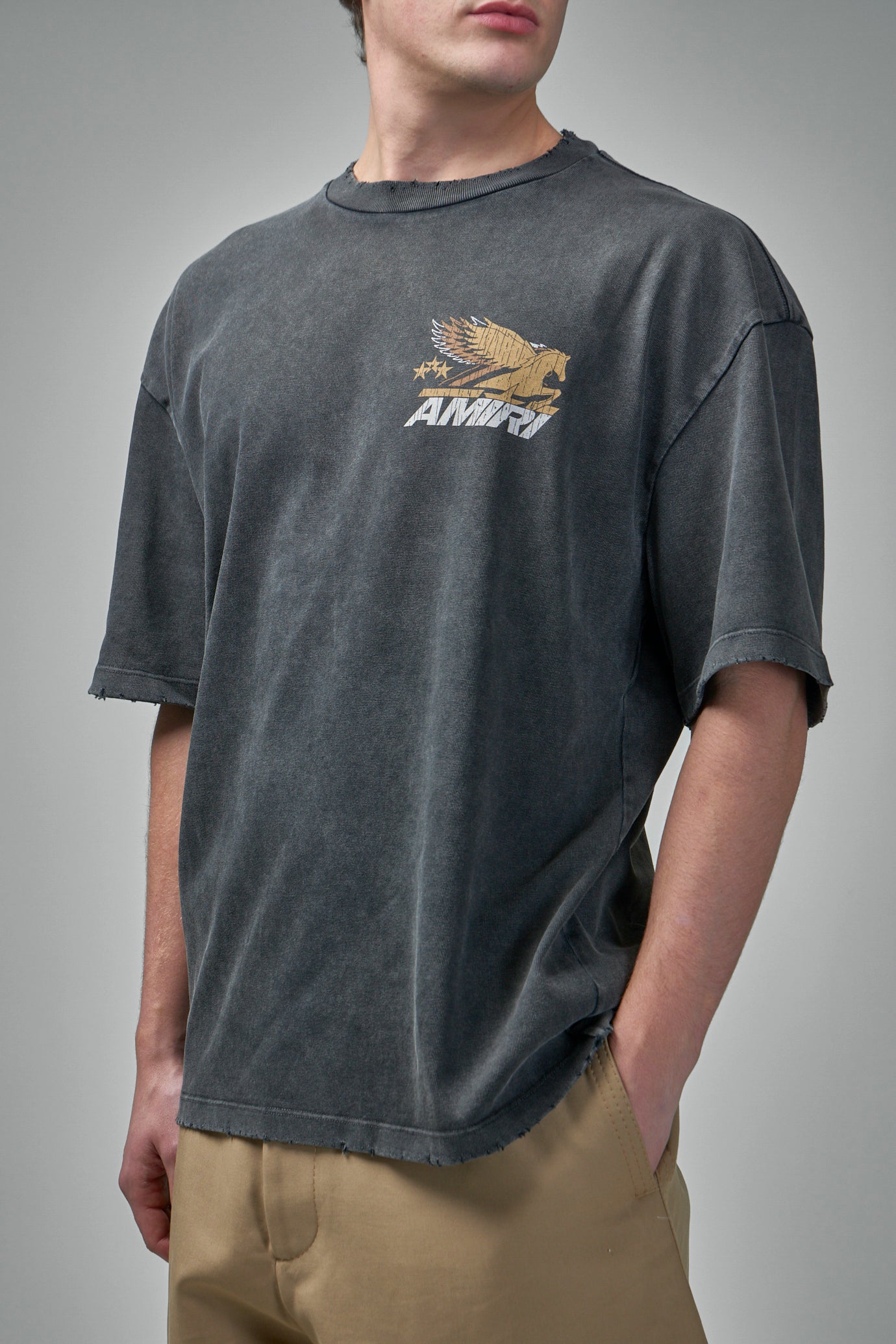 Vintage Pegasus Tee