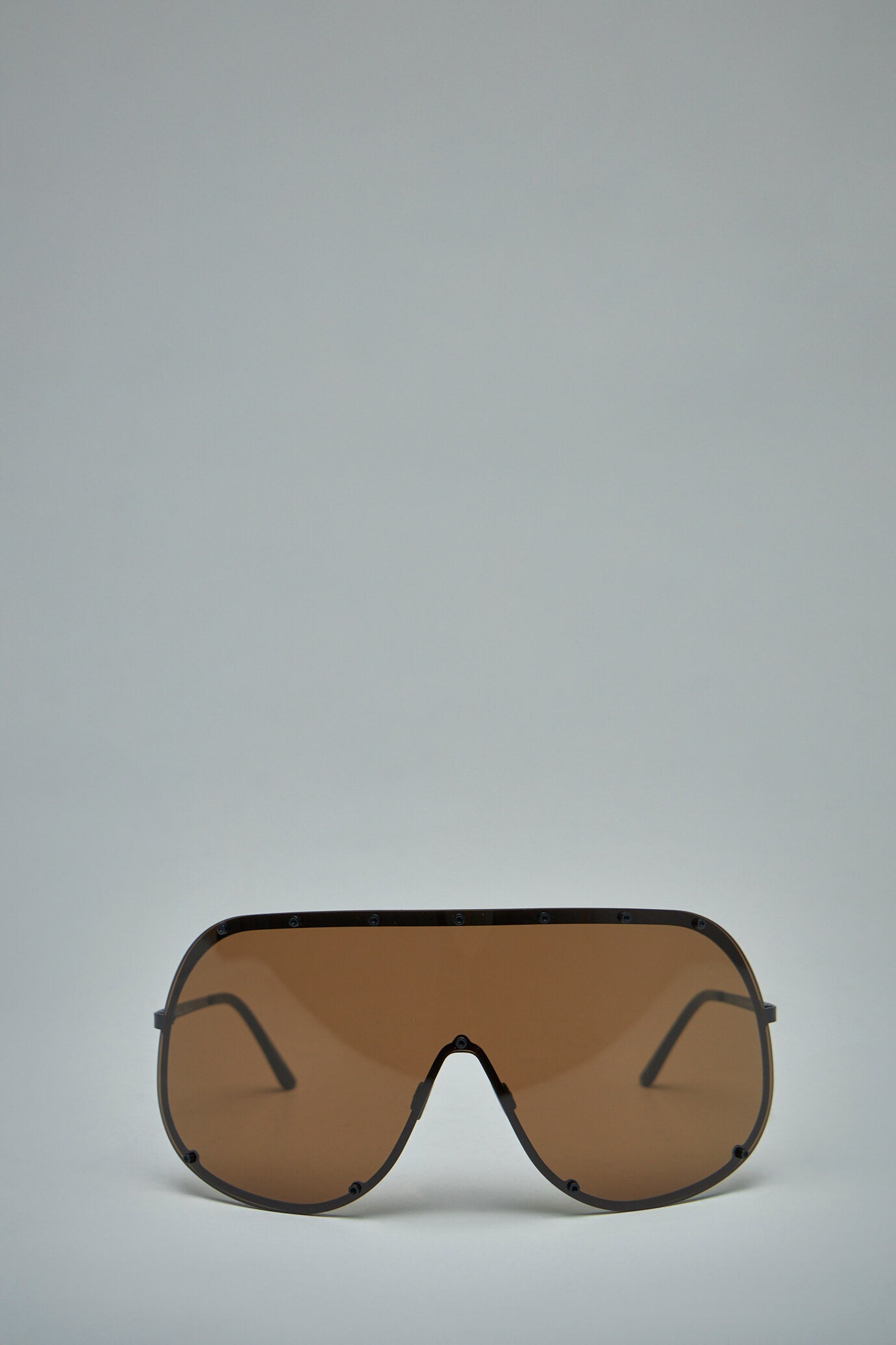 Sunglasses Shield