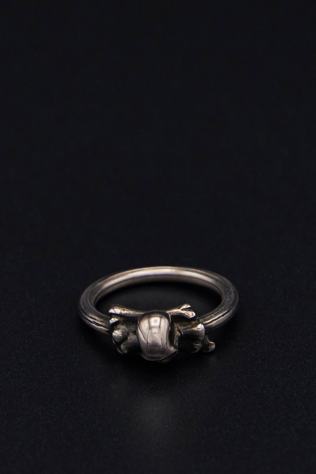 Ring Symbol Skull