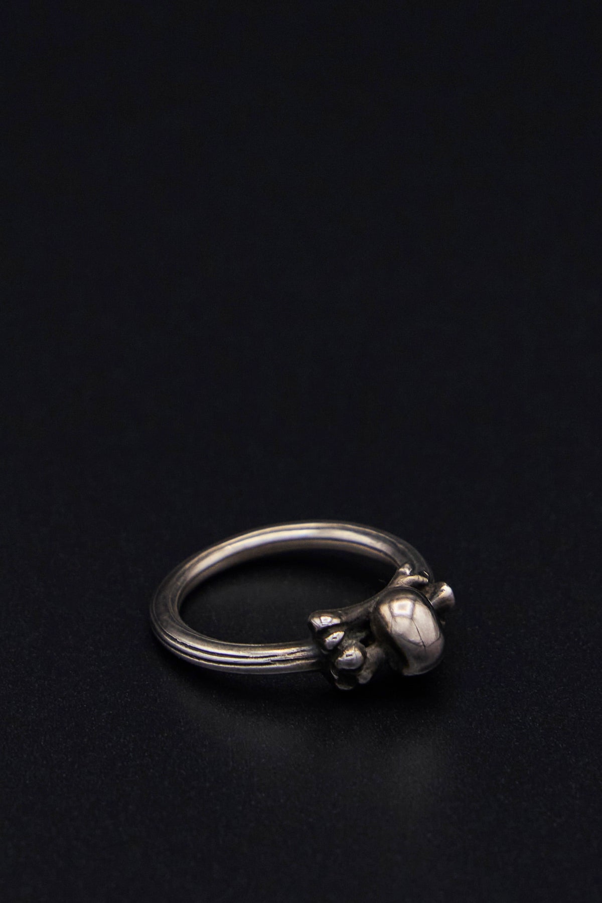 Ring Symbol Skull