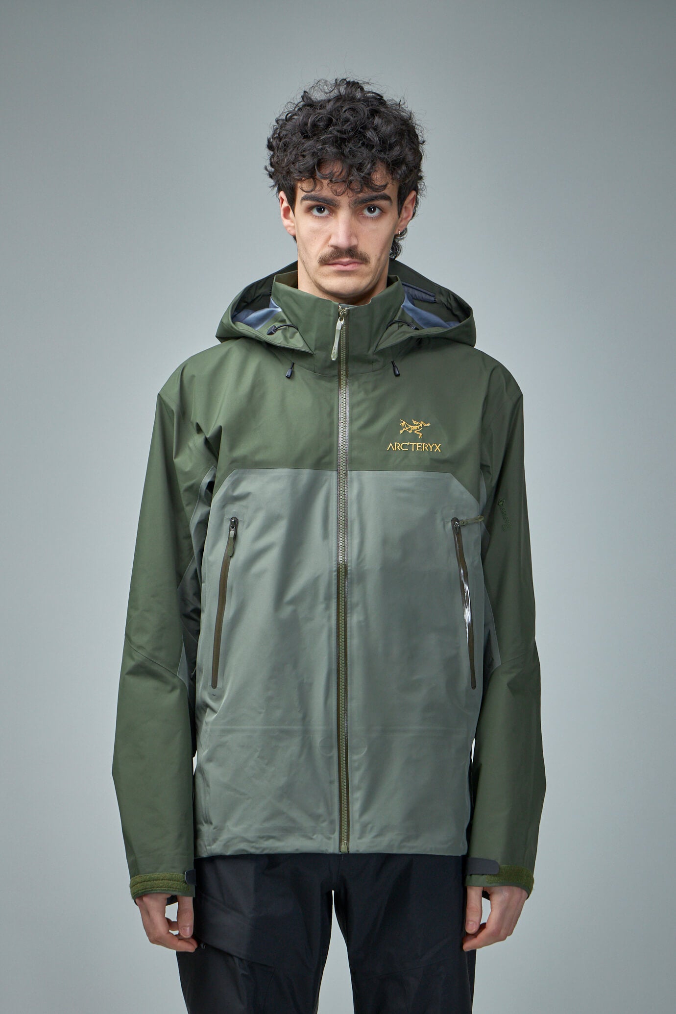 Arc'teryx Beta AR Jacket M forage/tatsu – LABELS