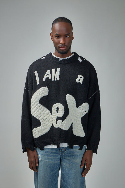 I Am A Sex Pistols Crew Knit