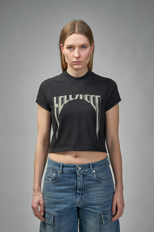 Cropped Small Level T