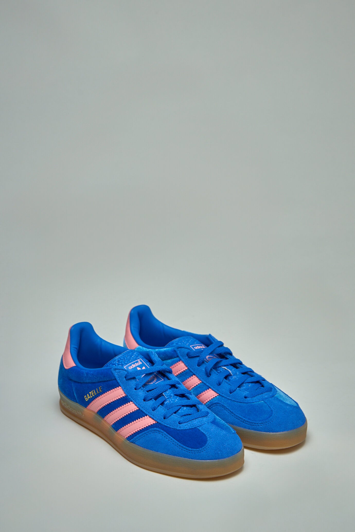 Gazelle Indoor W