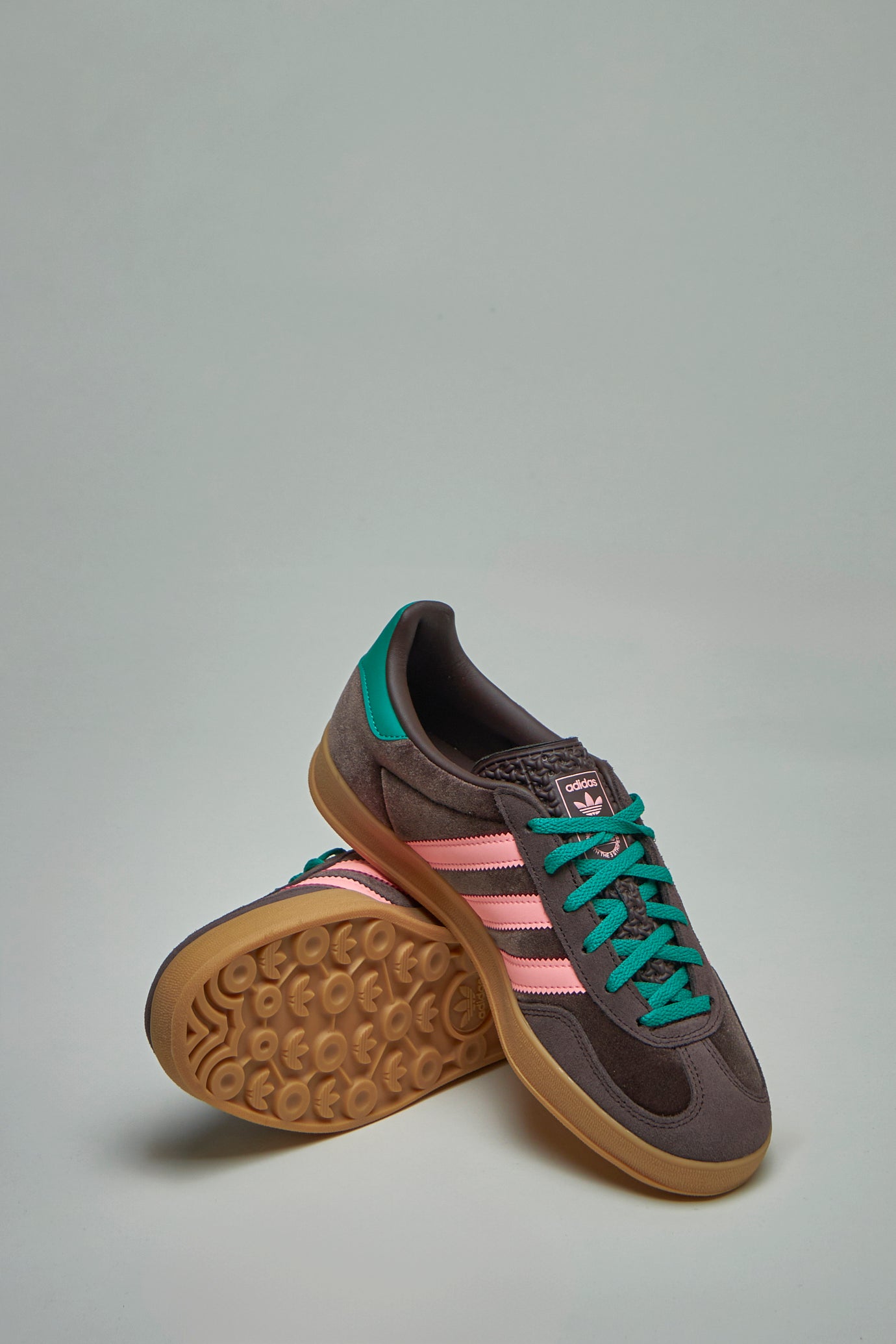 Gazelle Indoor W