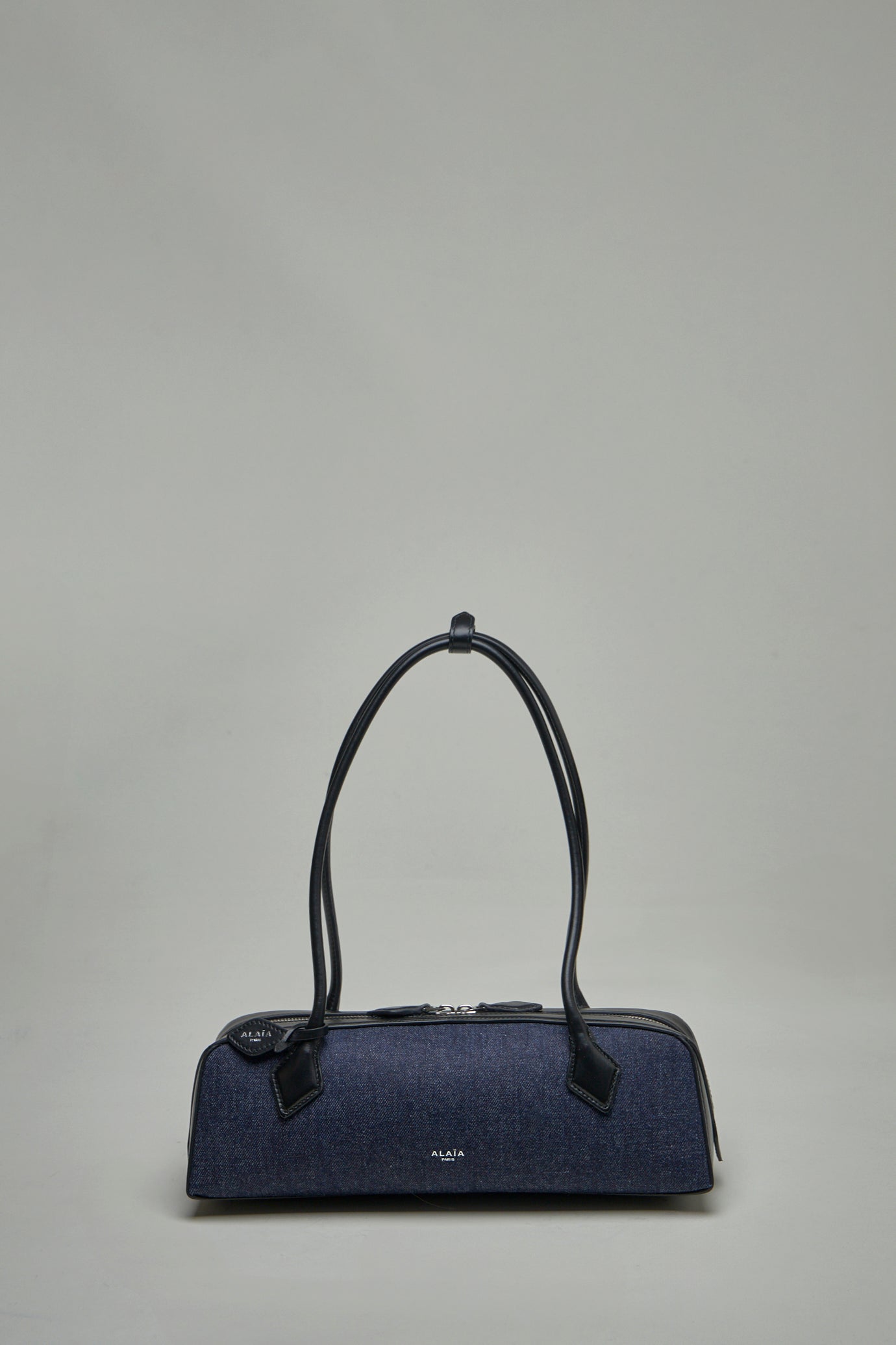 Le Teckel Medium Bag in Denim and Leather