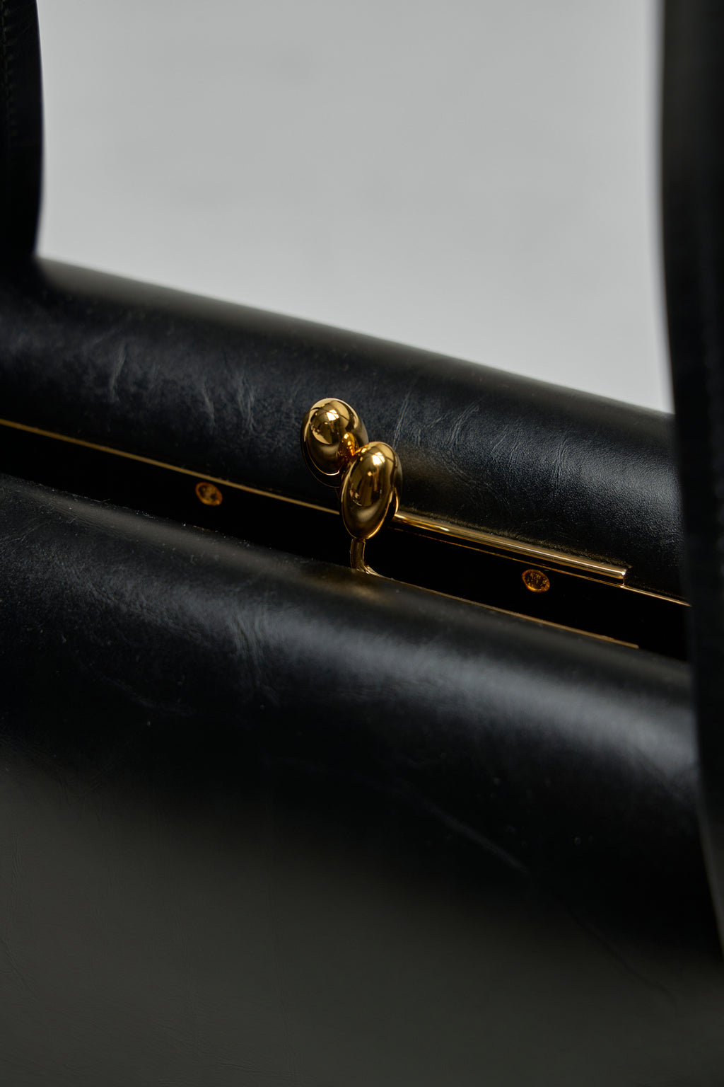 Small Goji Handle Bag