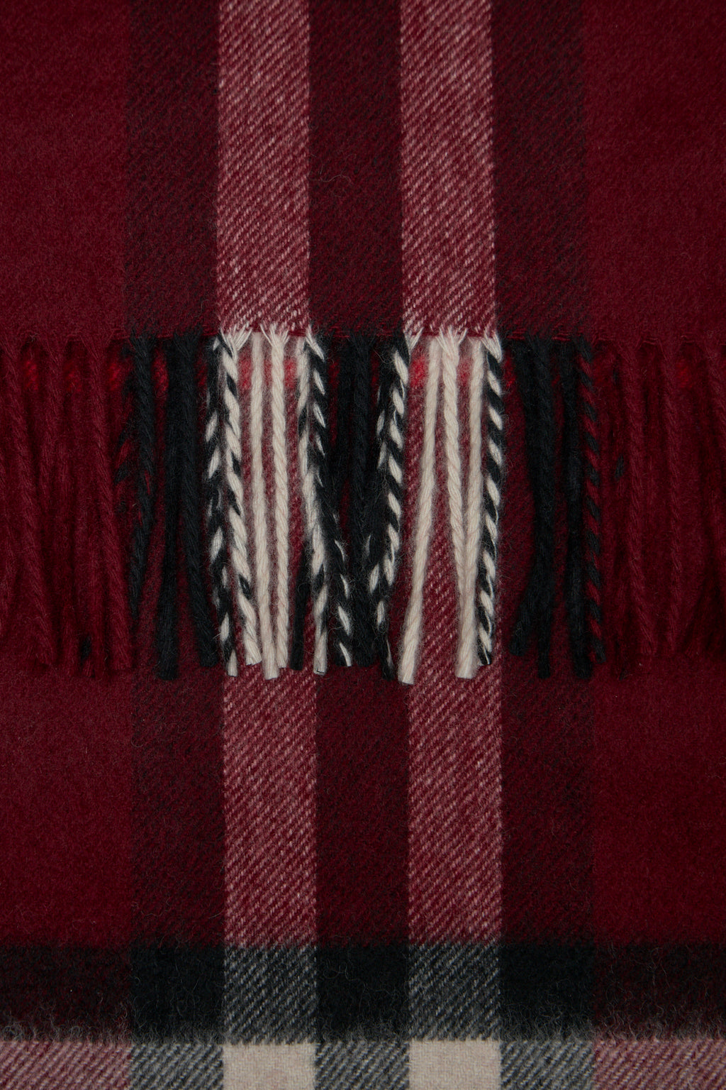 Checked Fringed-Edge Scarf
