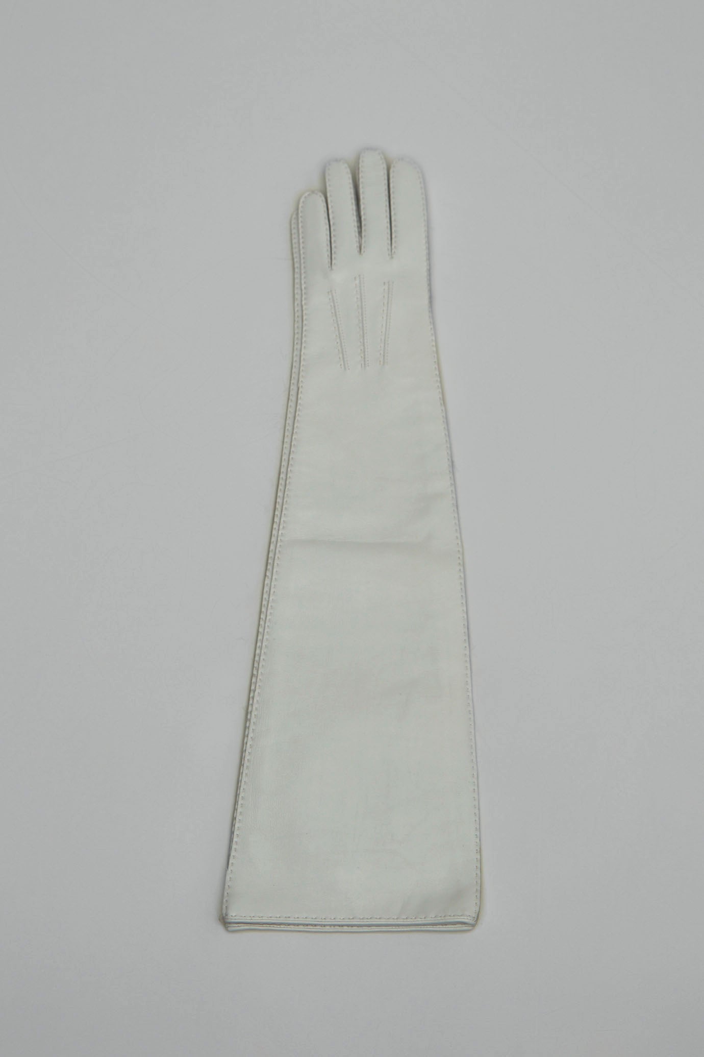 Long Length Leather Gloves