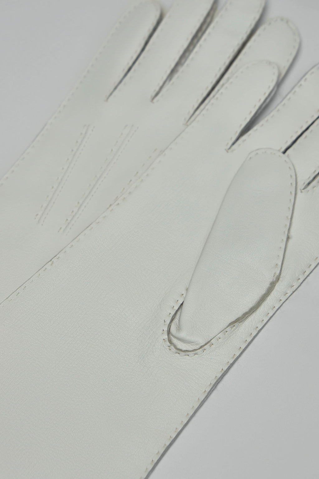 Long Length Leather Gloves