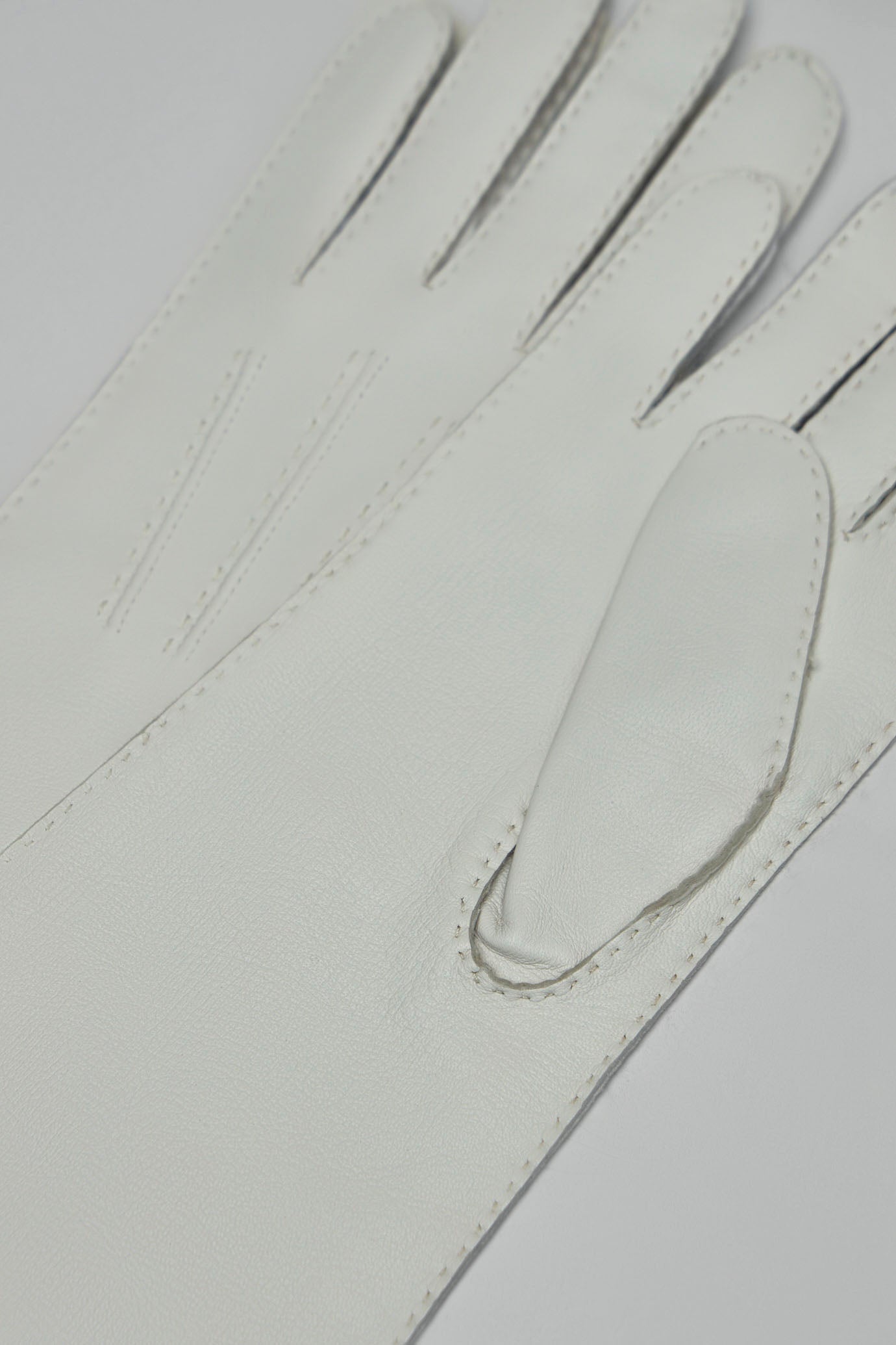 Long Length Leather Gloves