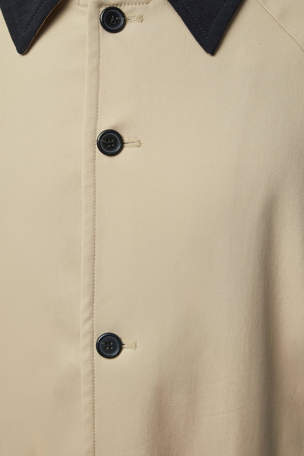 Back view of Adnym coat displaying tailored construction