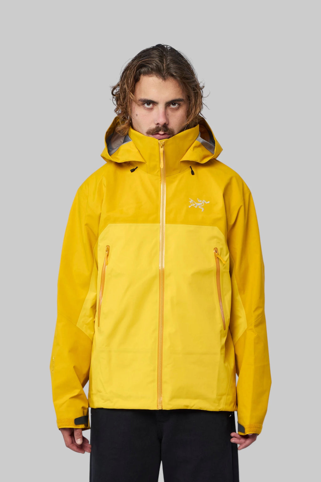 ARC'TERYX - Beta Ar Jacket M - LABELS
