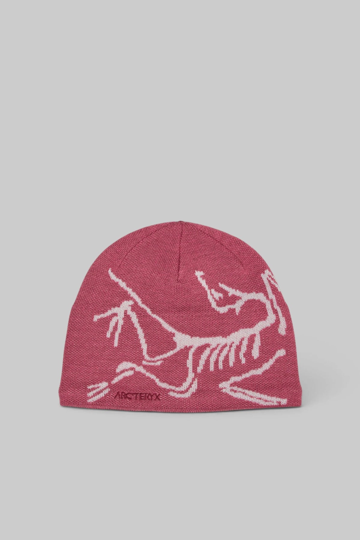 ARC'TERYX - Bird Head Torque - LABELS