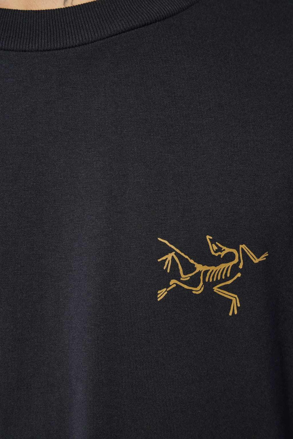 ARC'TERYX - Kragg Cotton Ls - LABELS