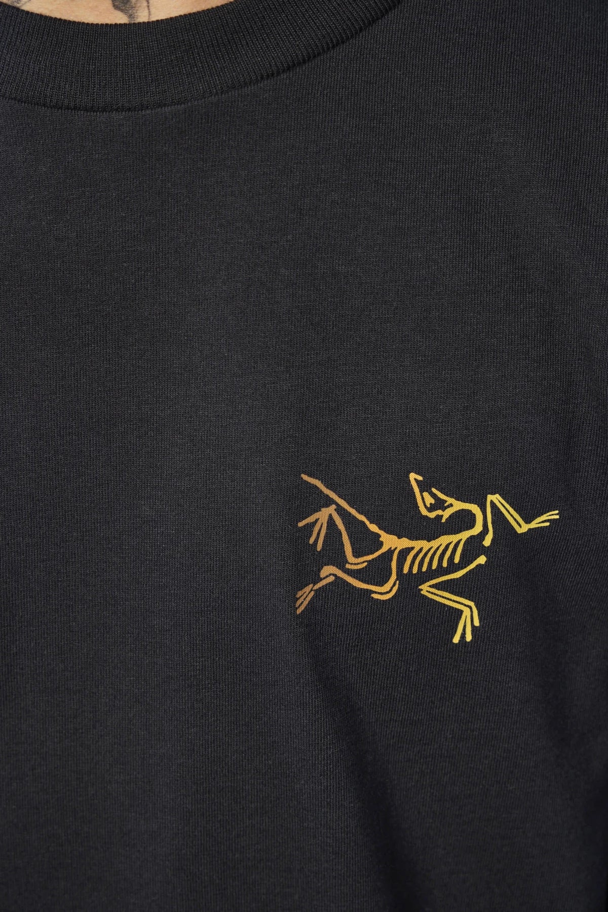 ARC'TERYX - Kragg Cotton SS M - LABELS