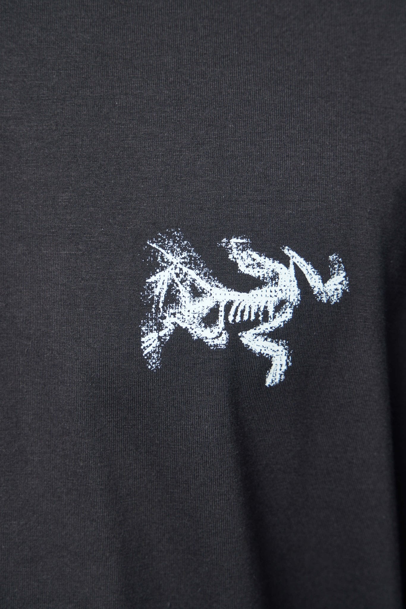 ARC'TERYX - Kragg Sl Cotton Bird Tile Ls M - LABELS