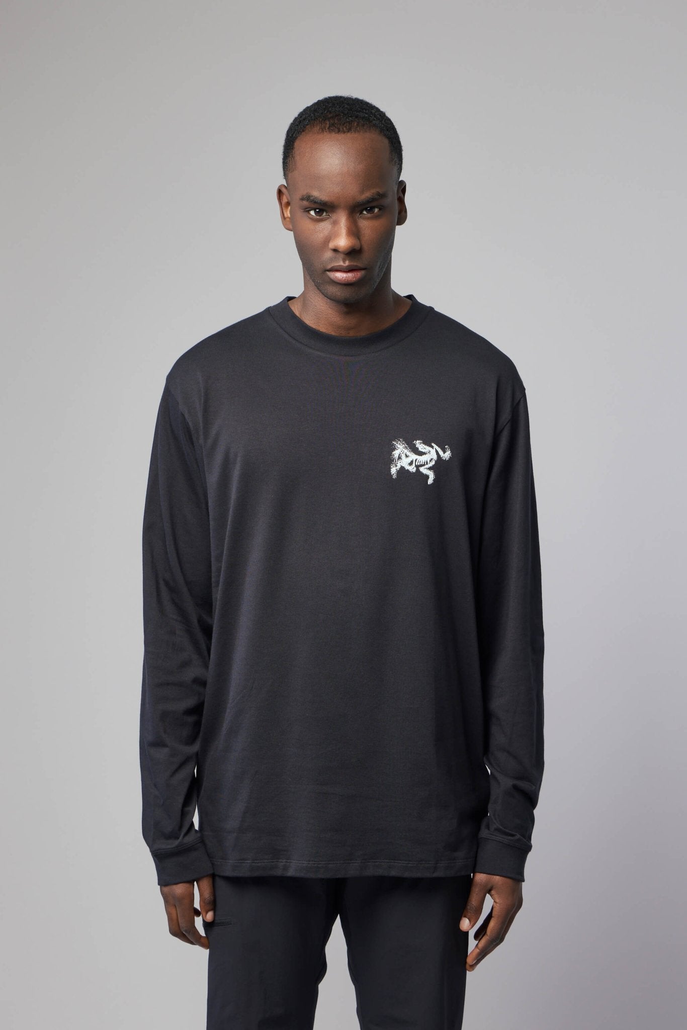 ARC'TERYX T-Shirts - Kragg Sl Cotton Bird Tile Long Sleeve – LABELS