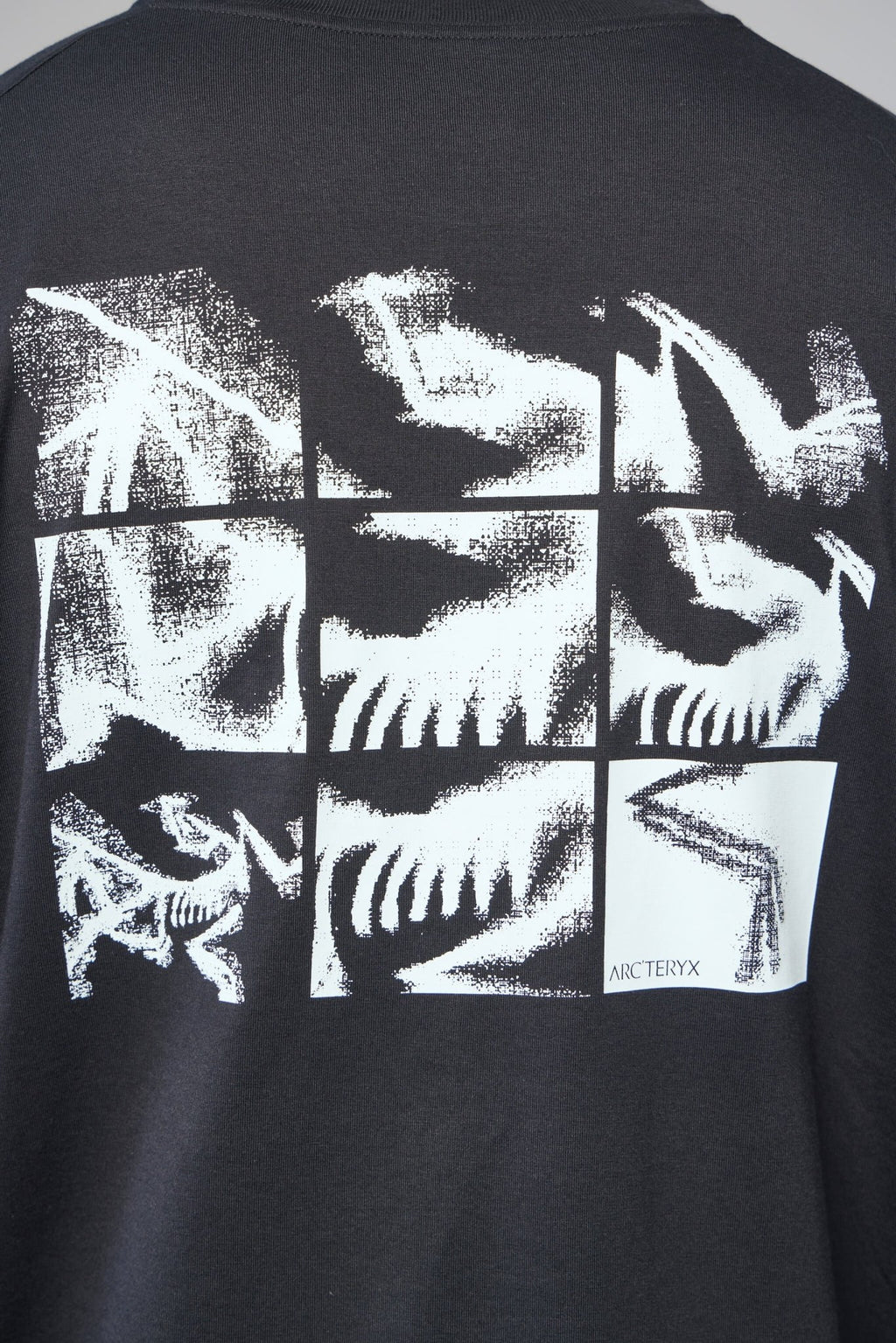 ARC'TERYX - Kragg Sl Cotton Bird Tile Ls M - LABELS
