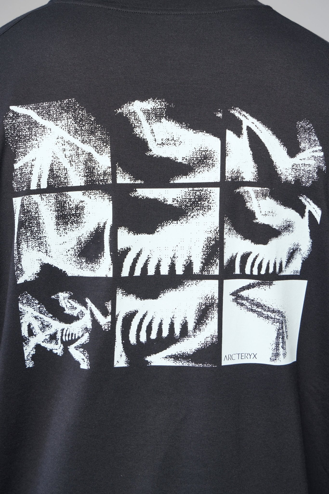 ARC'TERYX - Kragg Sl Cotton Bird Tile Ls M - LABELS