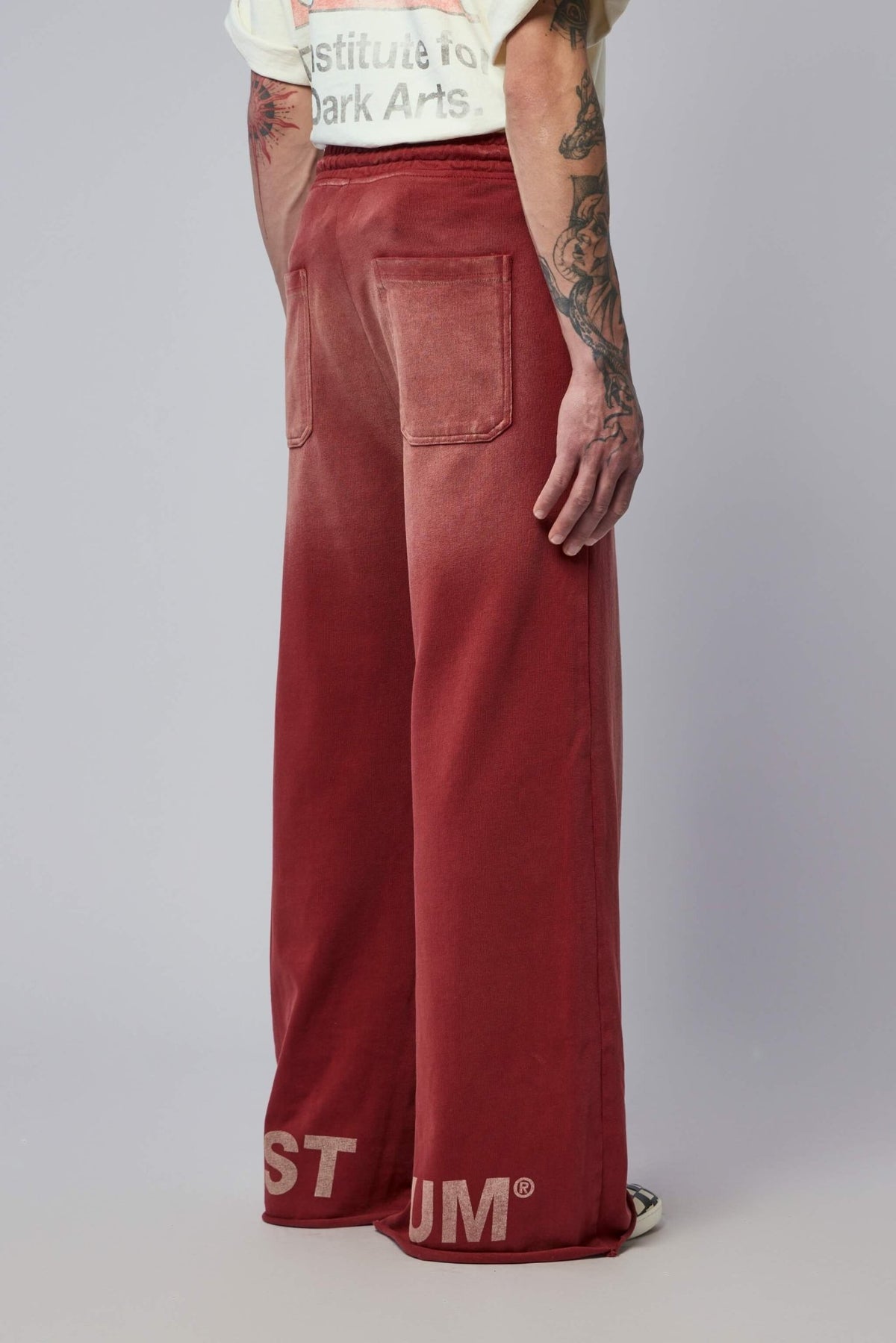 Back view of Astrum cargo pants showing overall silhouette