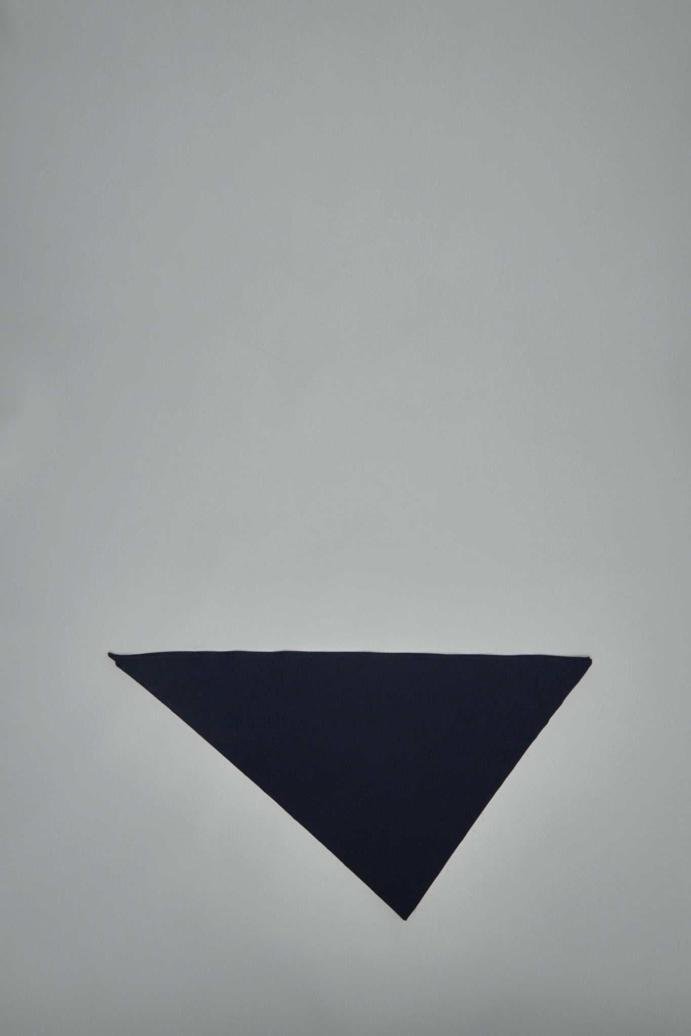 Dries Van Noten - Florent Scarf - LABELS