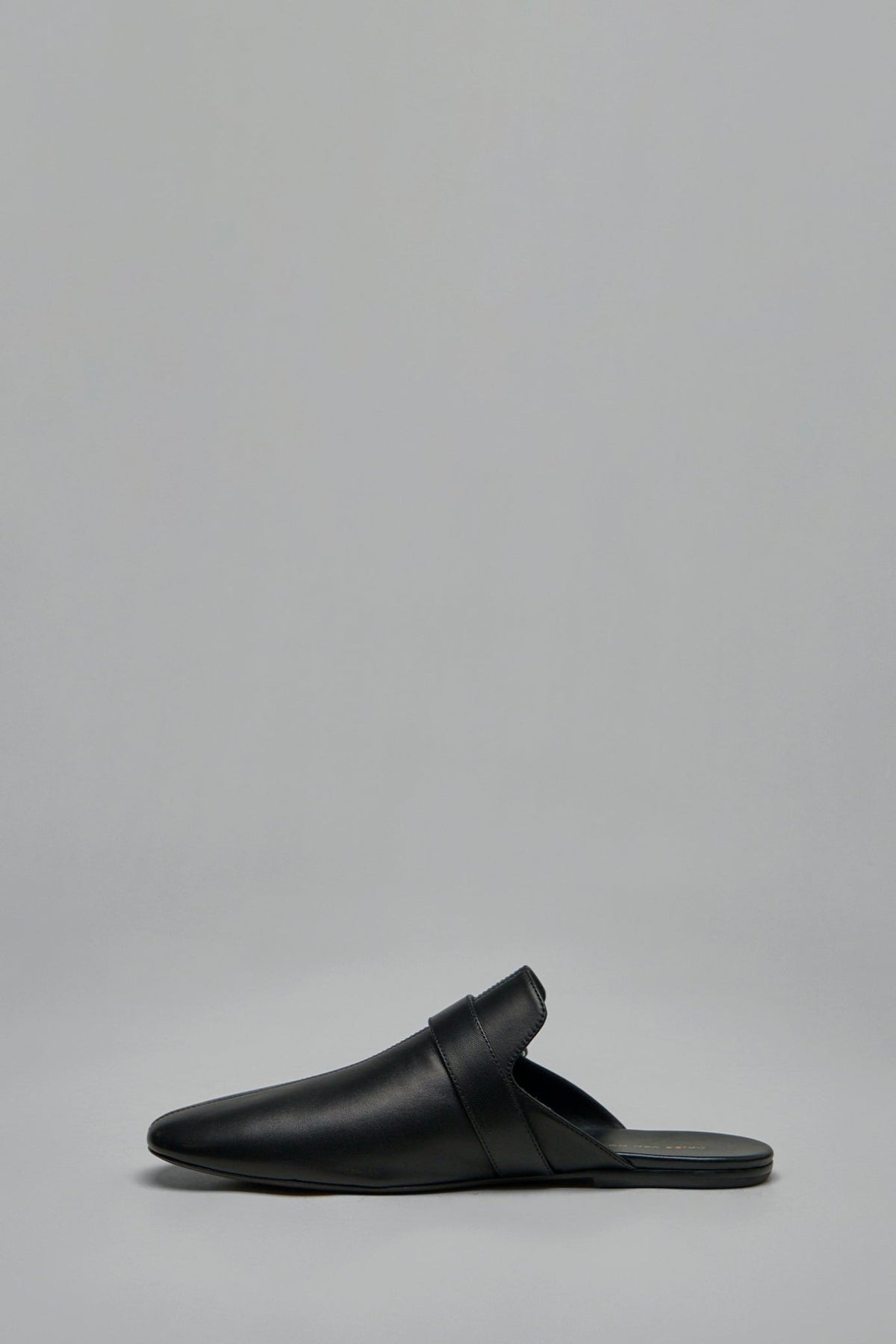 Dries Van Noten mule pointed toe close-up