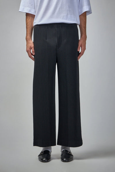 Homme Plissé Issey Miyake MC May Pants - LABELS