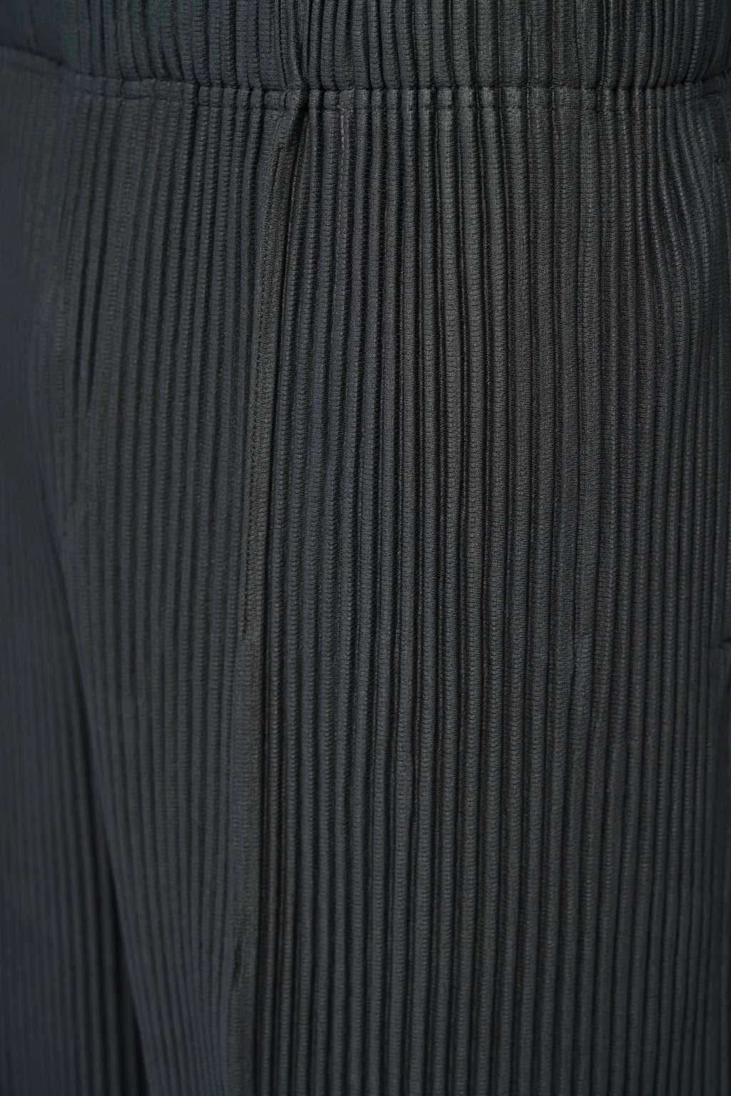 Homme Plissé Issey Miyake Shorts back view showing pleated construction