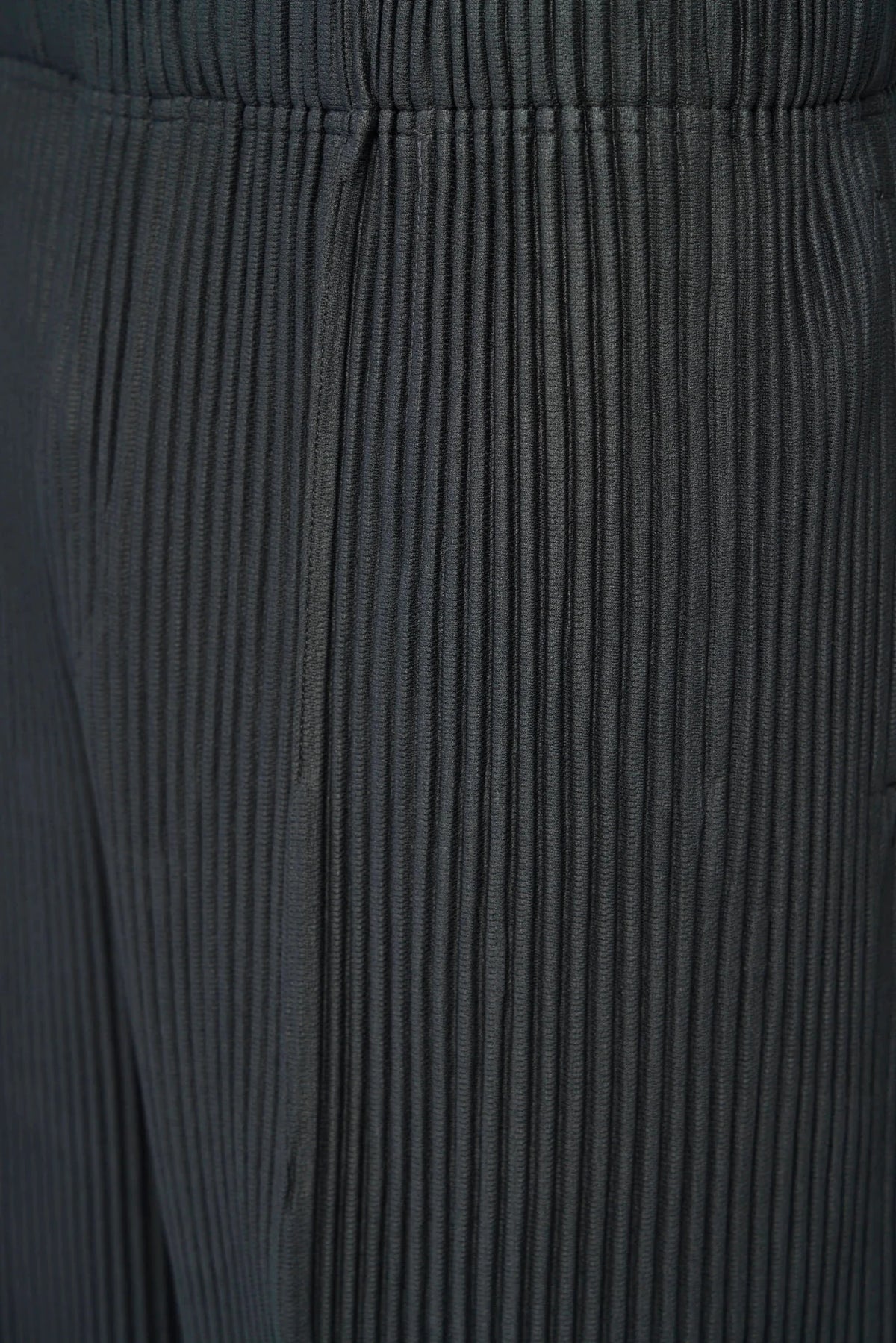 Homme Plissé Issey Miyake Shorts back view showing pleated construction