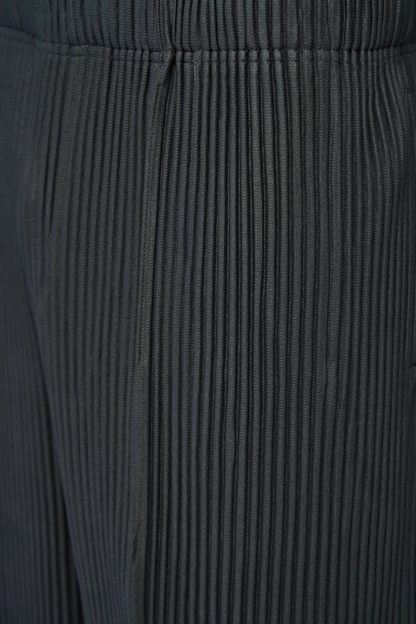 Homme Plissé Issey Miyake Shorts back view showing pleated construction