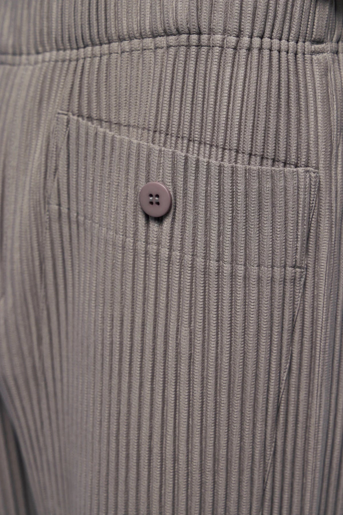 Homme Plissé Issey Miyake - Pants - LABELS