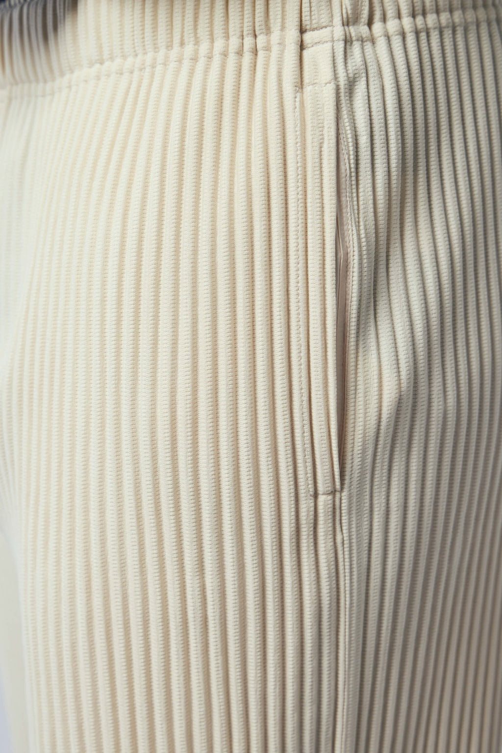 Homme Plissé Issey Miyake - Pants - LABELS