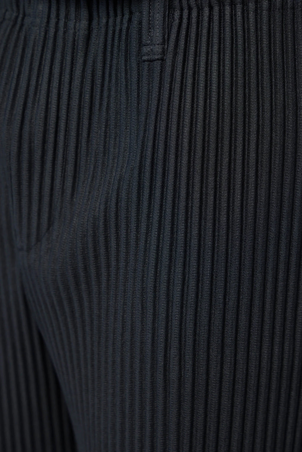 Homme Plissé Issey Miyake - Pants - LABELS