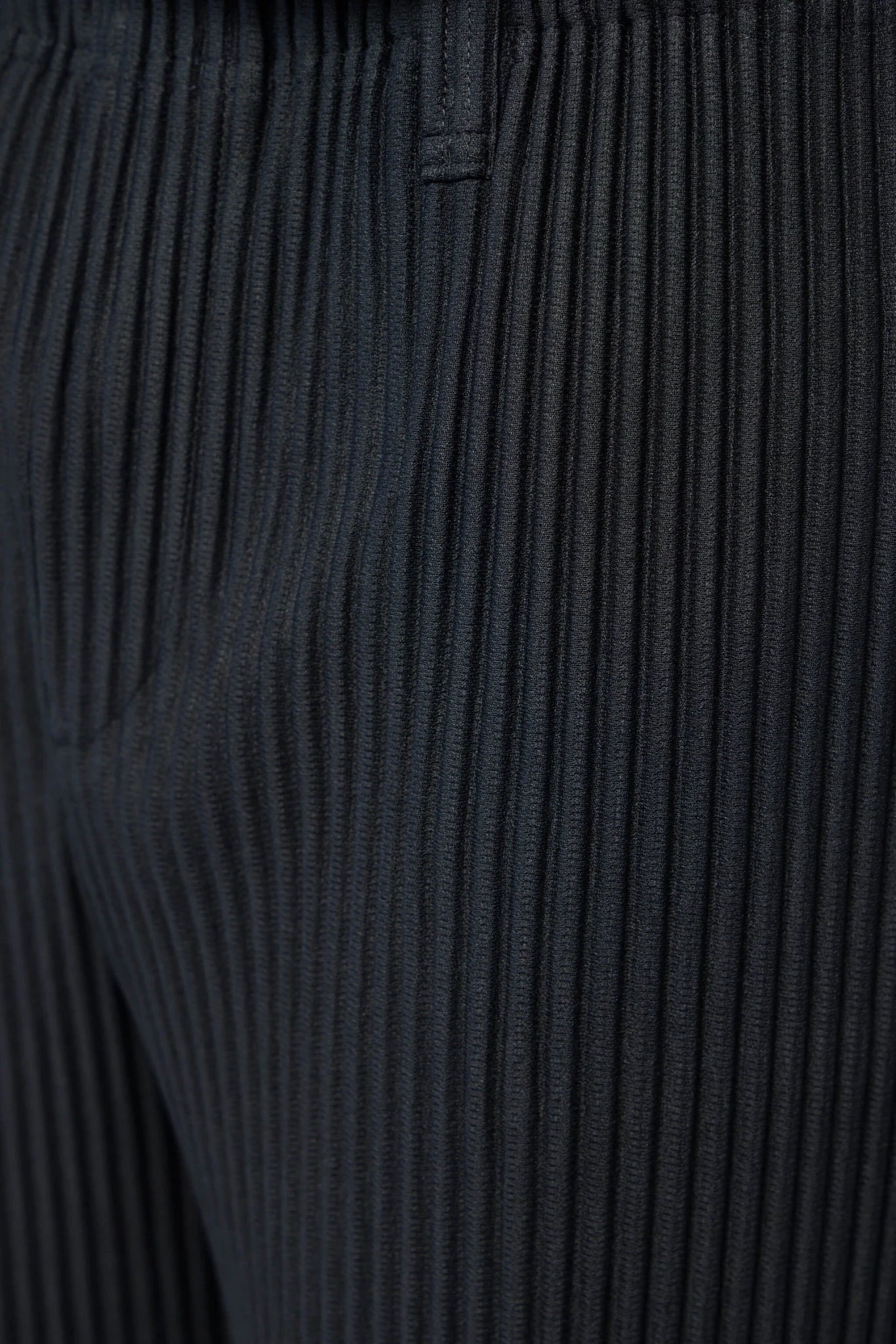 Homme Plissé Issey Miyake - Pants - LABELS