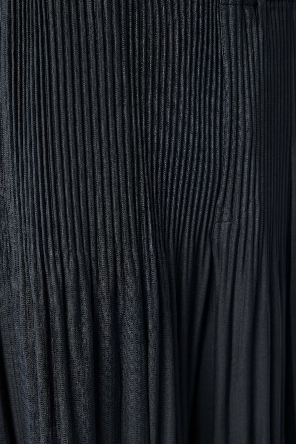 Homme Plissé Issey Miyake - Pants - LABELS