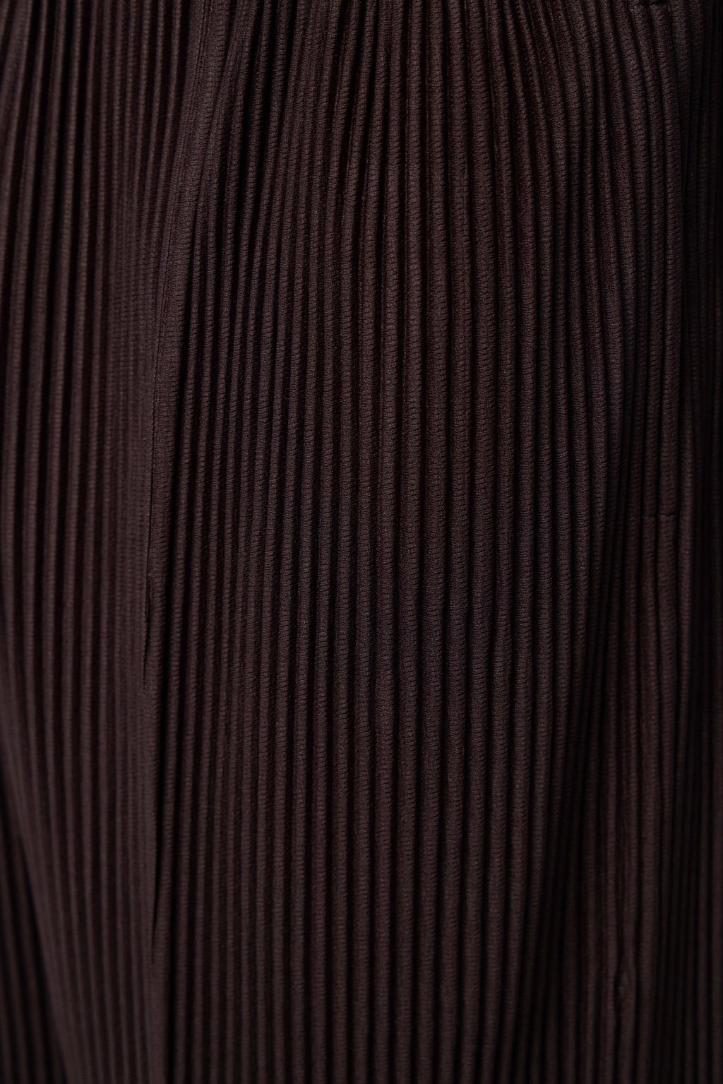 Homme Plissé Issey Miyake - Pleated Trousers - LABELS