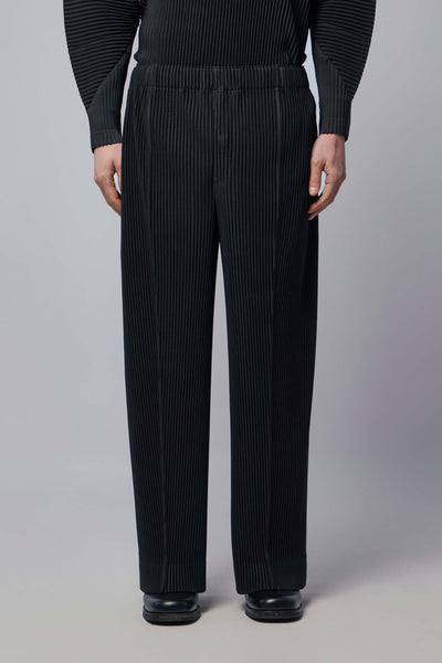 Pleated Trousers