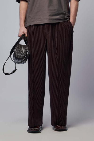 Pleated Trousers