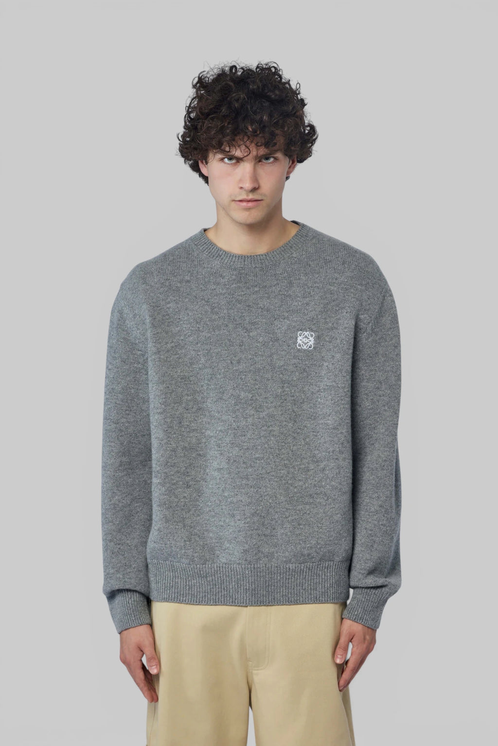 Loewe - Sweater - LABELS