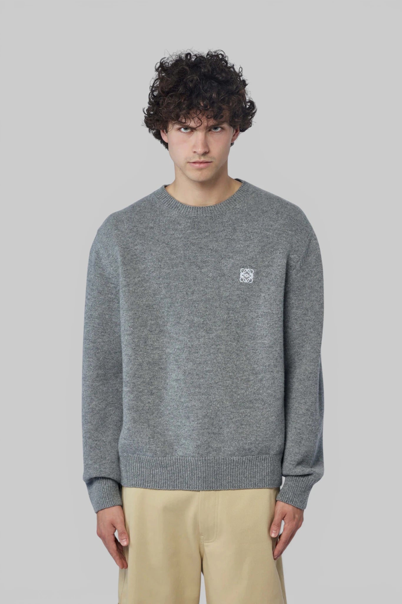 Loewe - Sweater - LABELS