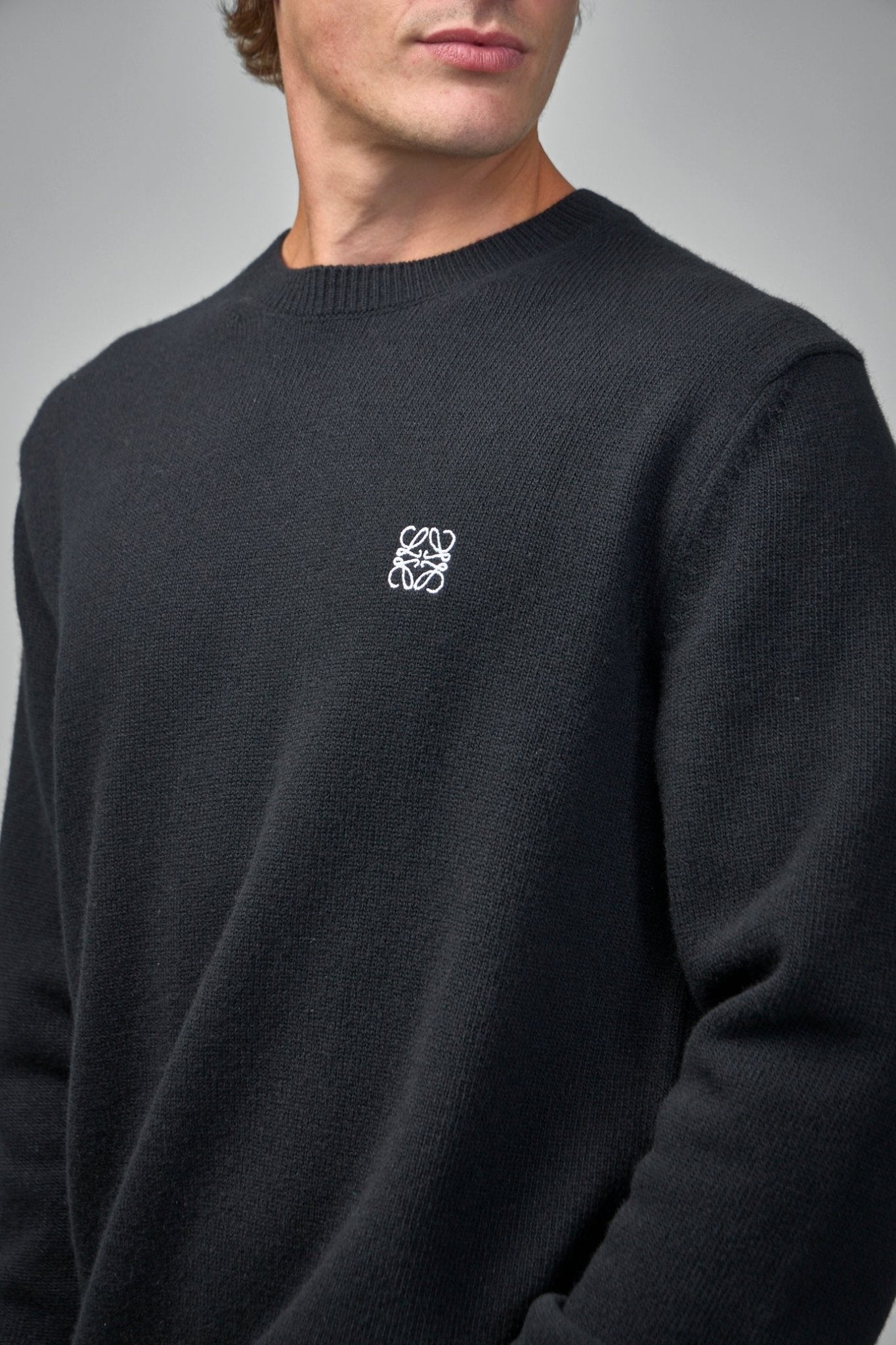 Loewe - Sweater - LABELS