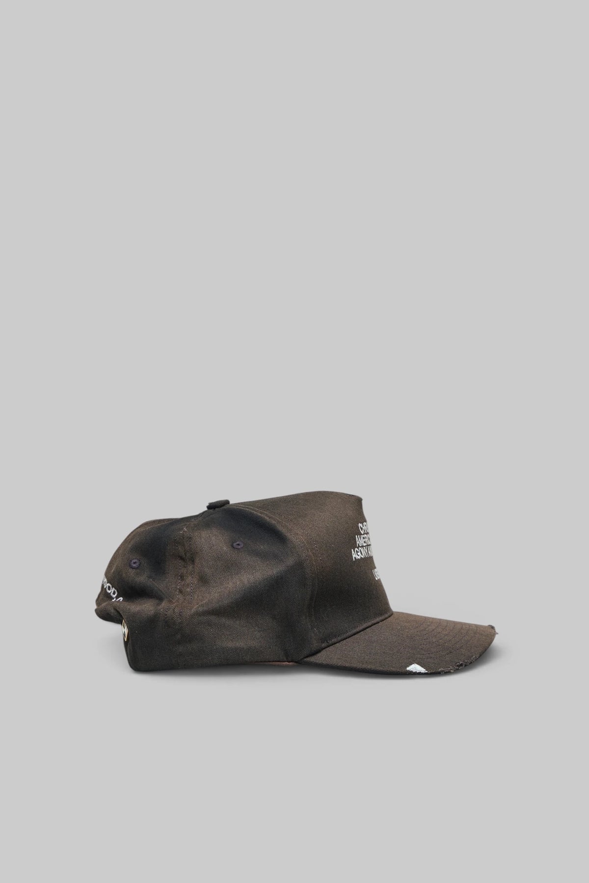 Paly Hollywood - Agony Ecstasy Trucker - LABELS