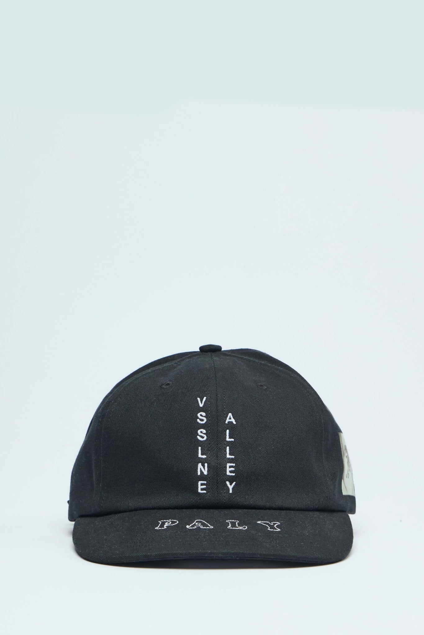 Paly Hollywood - Vsslne Alley Low Profile Hat - LABELS