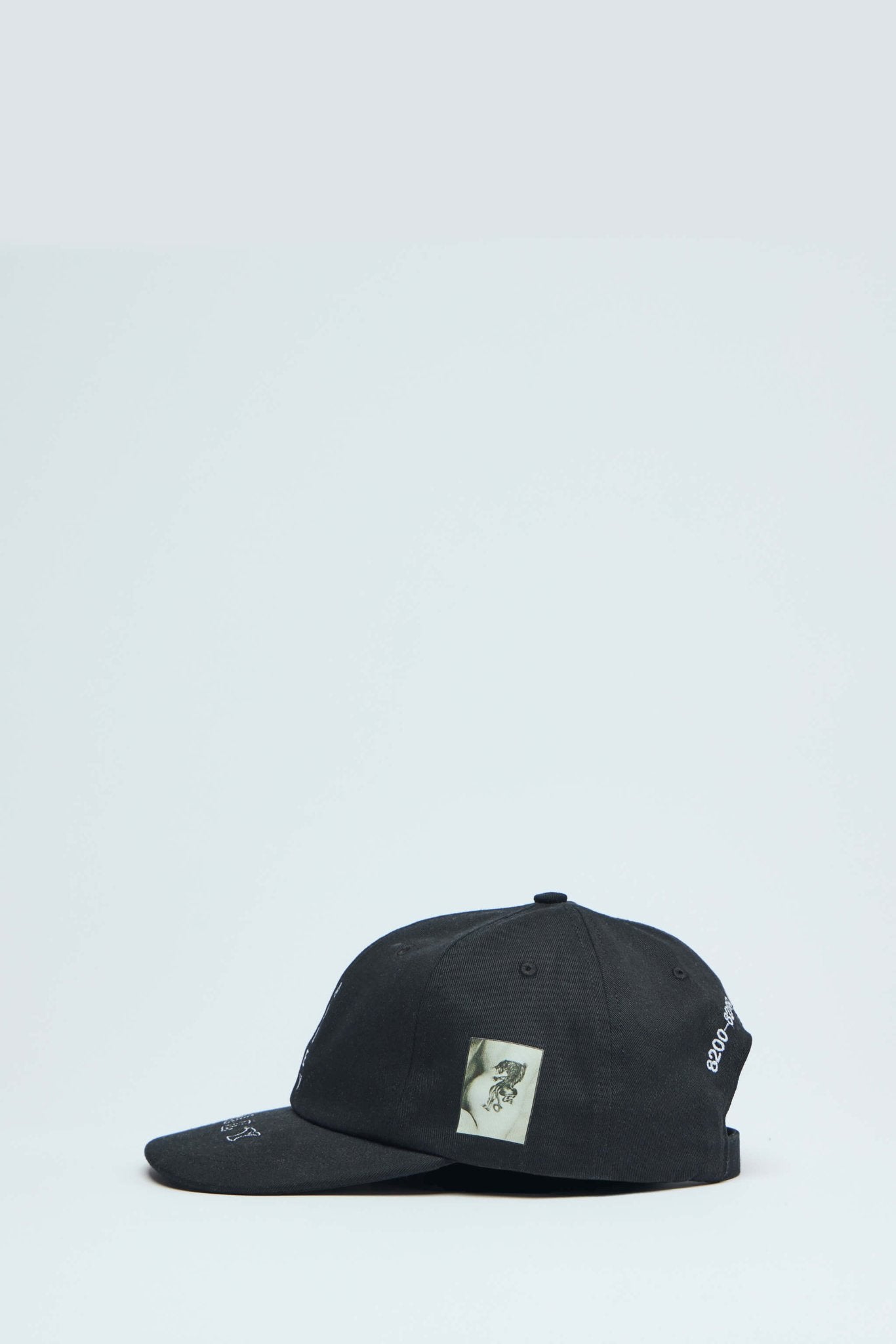 Paly Hollywood - Vsslne Alley Low Profile Hat - LABELS